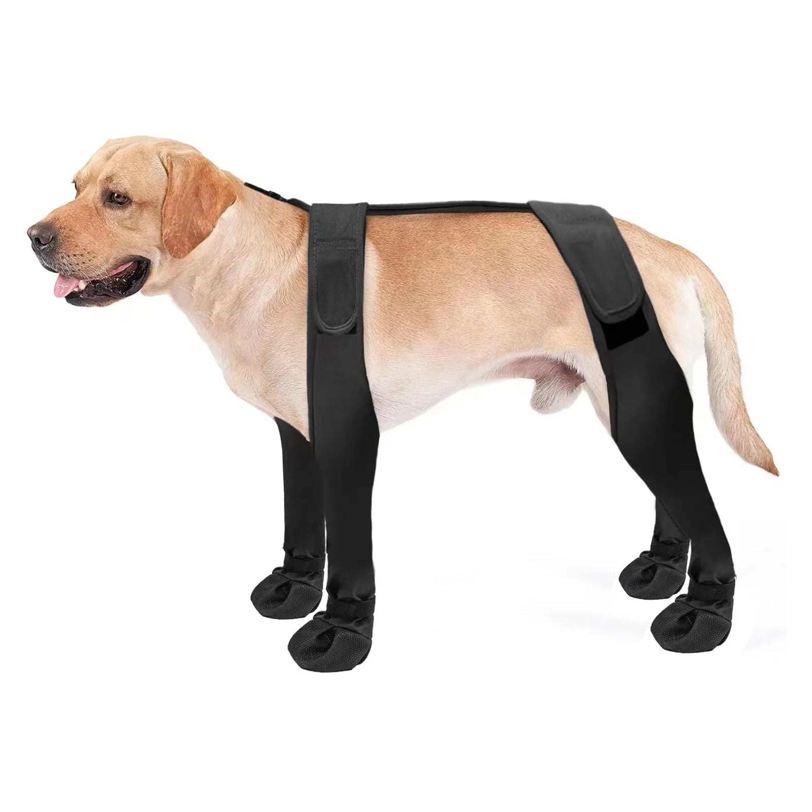 - Remote interactive pet feederAnniePaw Large Dog Boots - Waterproof All-Season Claw Protectors - Remote interactive pet feederAnniePaw Large Dog Boots - Waterproof All-Season Claw Protectors