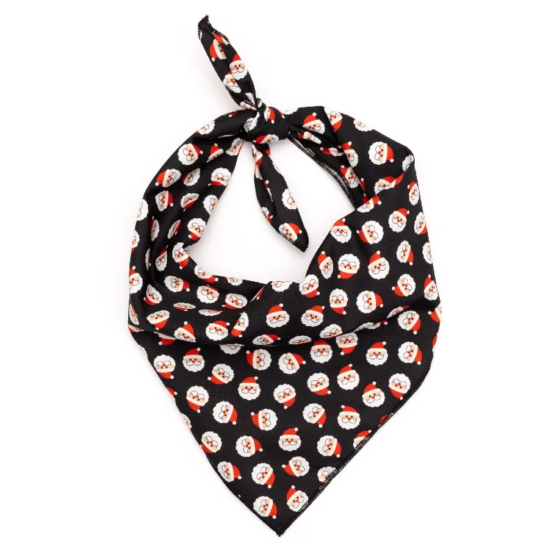 Pet night clothes with LED lightsBandana | Santa