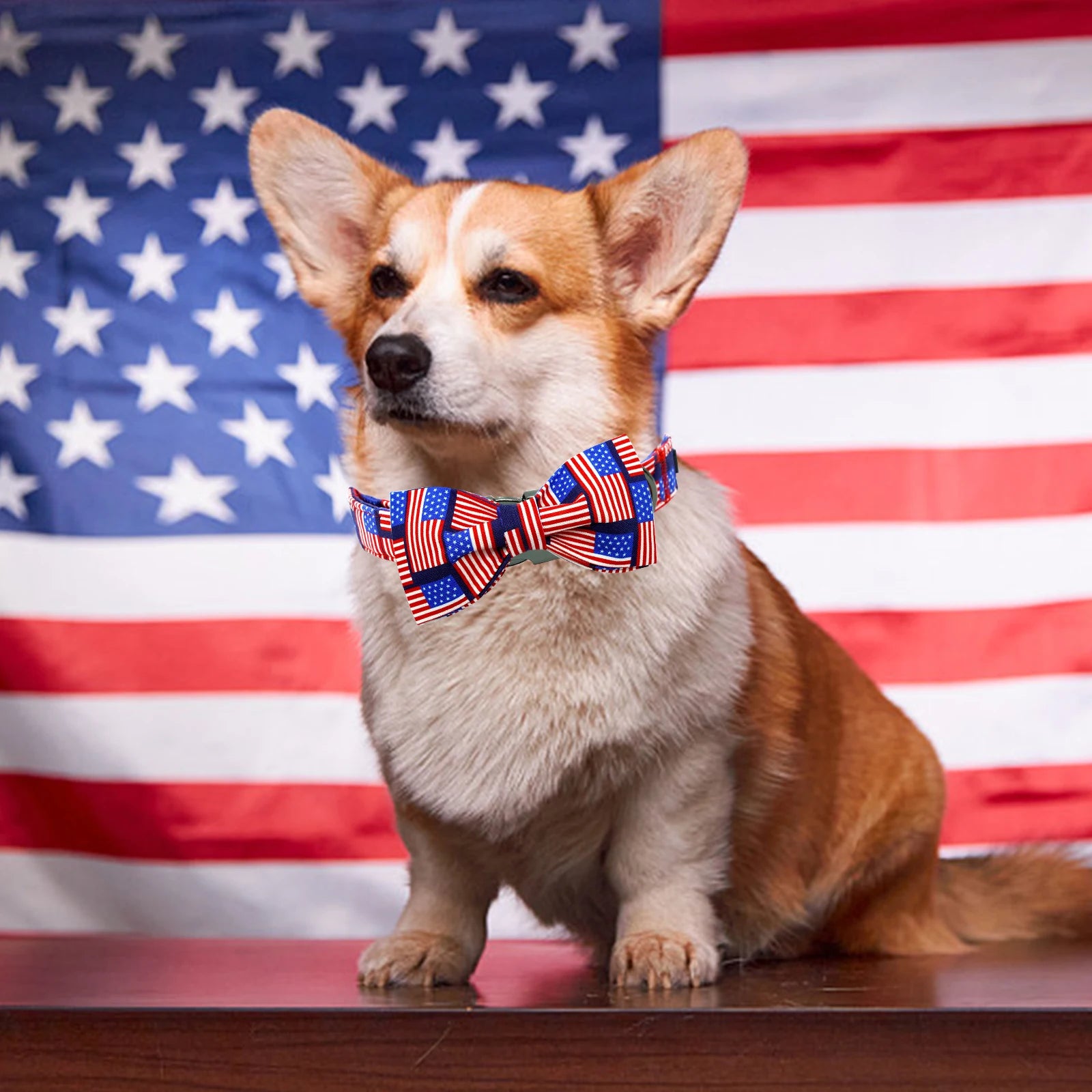 -Anti-scratch scratching board AND cat bed in oneElegant little tail Independence Day Dog Collar Holiday Pet Collar with Bow Dog Durable Patriotic Dog Collars Pet Gift -Anti-scratch scratching board AND cat bed in oneElegant little tail Independence Day Dog Collar Holiday Pet Collar with Bow Dog Durable Patriotic Dog Collars Pet Gift