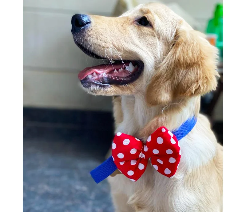 - Cat anti-jump window safety netBow Ties for Dogs: Red and White Polka Dot Fluffy Bow - Cat anti-jump window safety netBow Ties for Dogs: Red and White Polka Dot Fluffy Bow