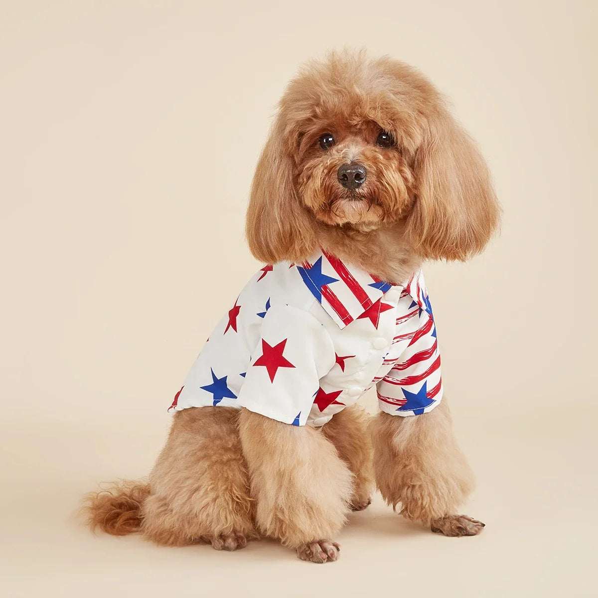 ---Striped Dog Shirt,American Flag Star Dog Clothes for Small Dogs Girl Boy Costume Puppy Onesie Pet Cat Outfit Independence Day ---Striped Dog Shirt,American Flag Star Dog Clothes for Small Dogs Girl Boy Costume Puppy Onesie Pet Cat Outfit Independence Day