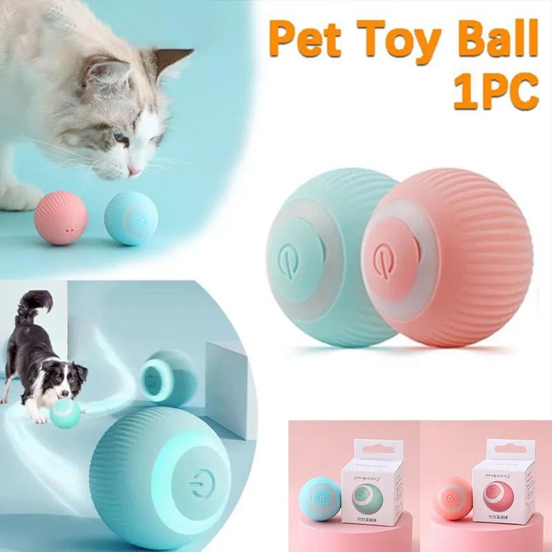 - Pet fence foldable indoorAnniepaw Pet Automatic Rolling Cat Toy Training Self-propelled Kitten Toy Indoor Interactive Play Electric Smart Cat Ball Toy Supplies - Pet fence foldable indoorAnniepaw Pet Automatic Rolling Cat Toy Training Self-propelled Kitten Toy Indoor Interactive Play Electric Smart Cat Ball Toy Supplies